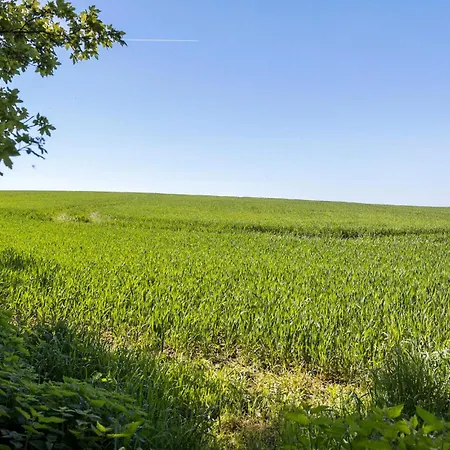 In With Kitchen Транекер