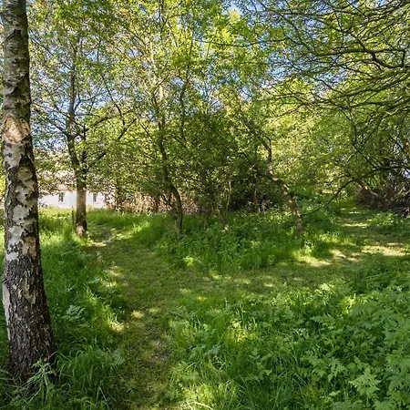 In With Kitchen Дом отдыха *